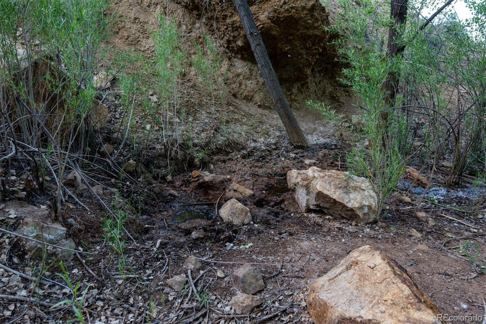 Undisclosed Address Paradox, CO 81429 - Photo 44 of 50 a view of a yard with lots of trees