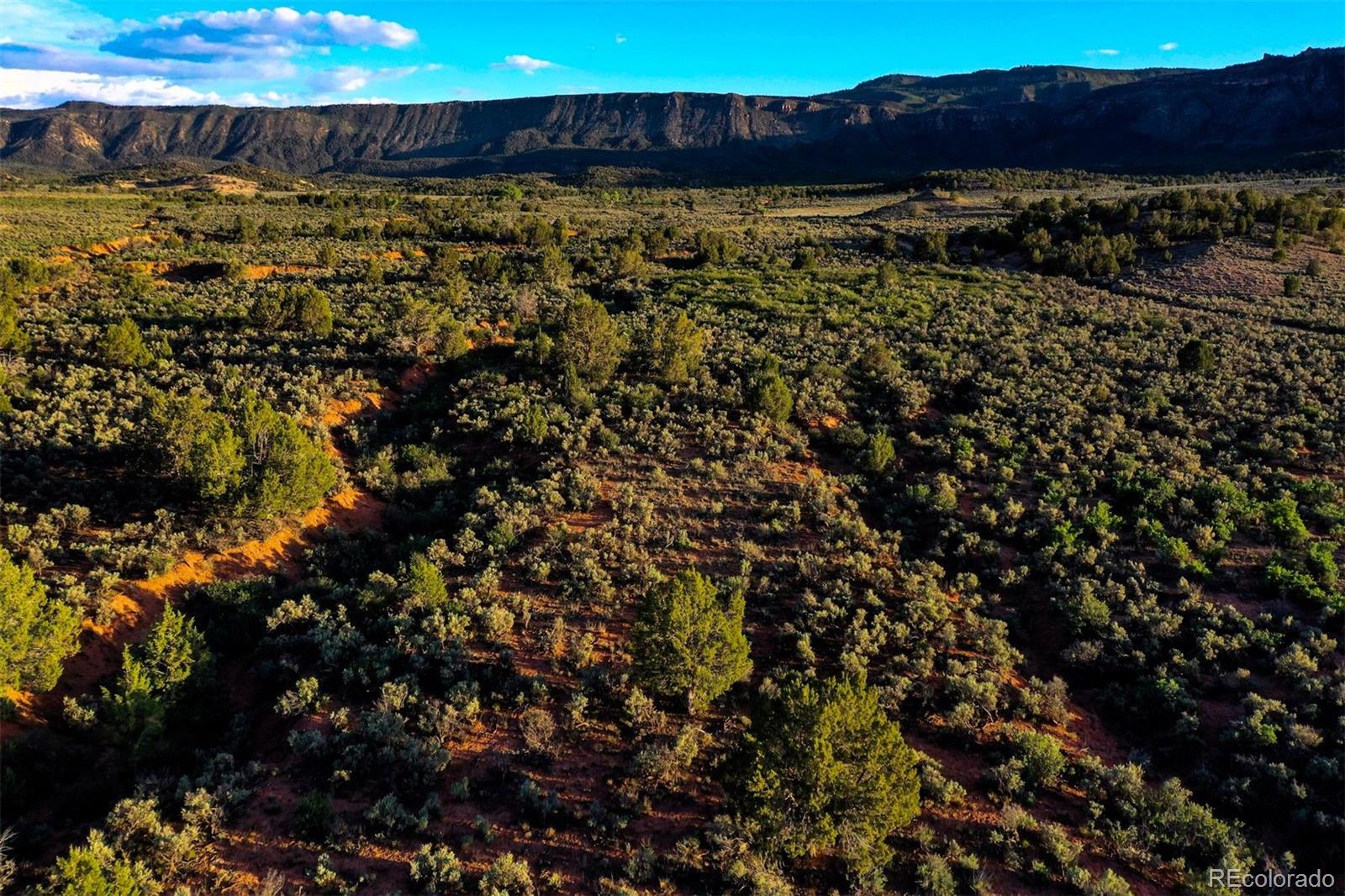 Undisclosed Address Paradox, CO 81429 - Photo 46 of 50 a view of a house with a backyard