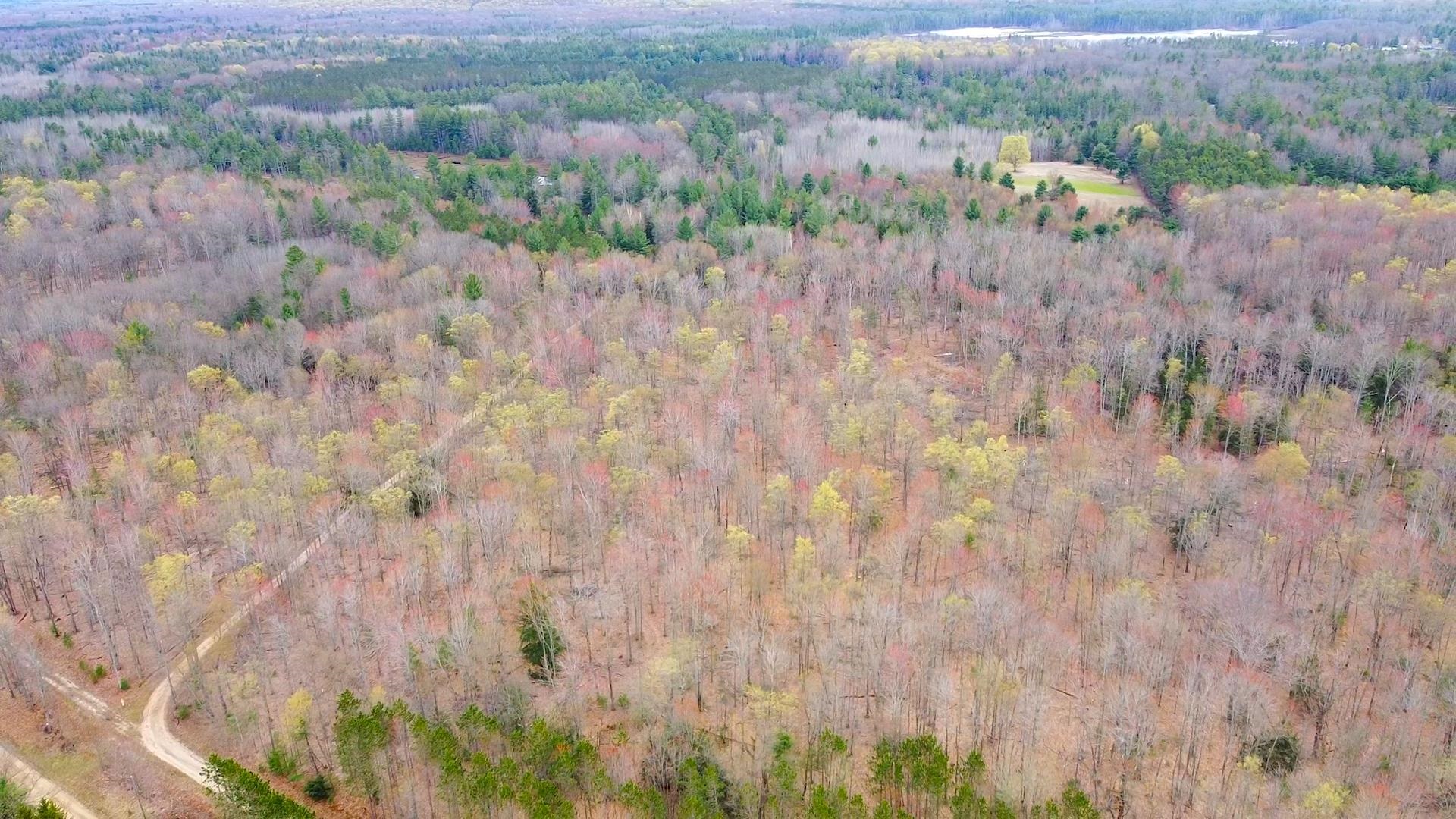 Southeast Spencer Road Southeast Kalkaska, MI 49646 - Photo 17 of 36