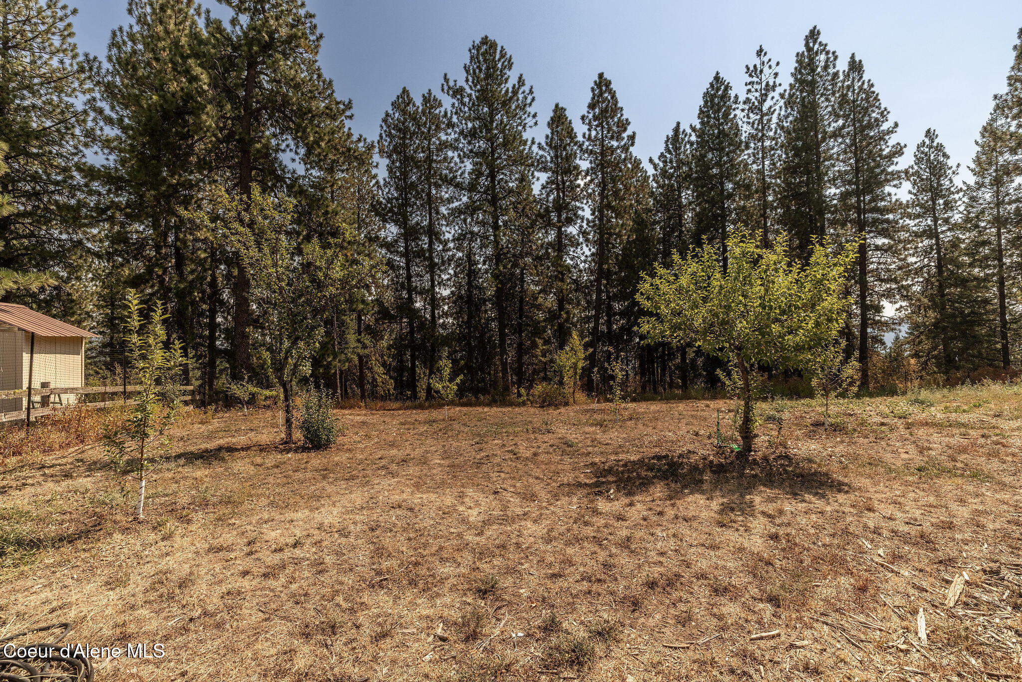 7801 West Eagle Ridge Road Coeur D'Alene, ID 83814 - Photo 101 of 111 Fruit Trees