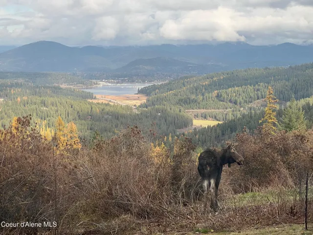 $2,975,000 | 7801 West Eagle Ridge Road, Coeur D'Alene, ID 83814