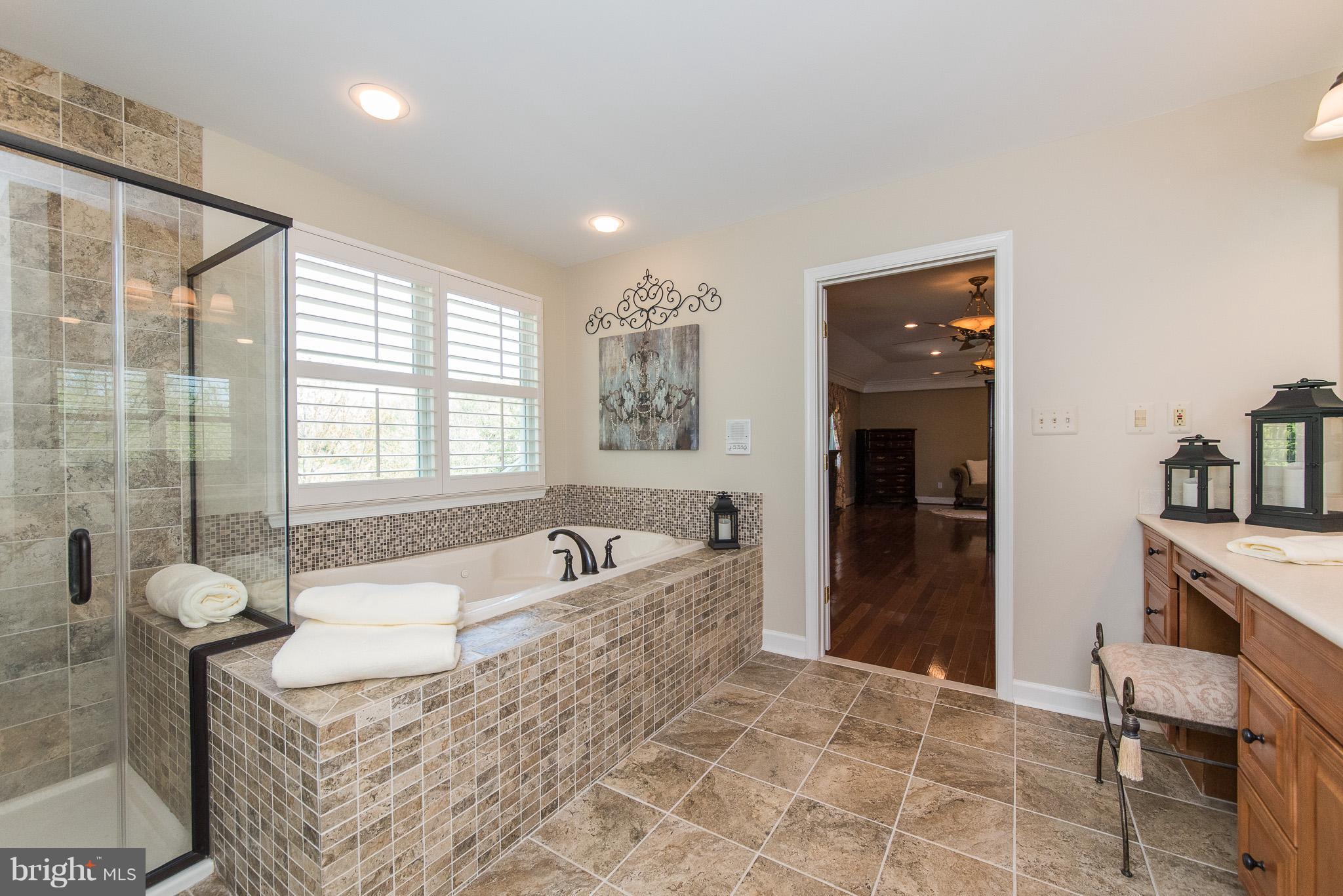3411 Ady Road Street, MD 21154 - Photo 15 of 30 Bath (Master)