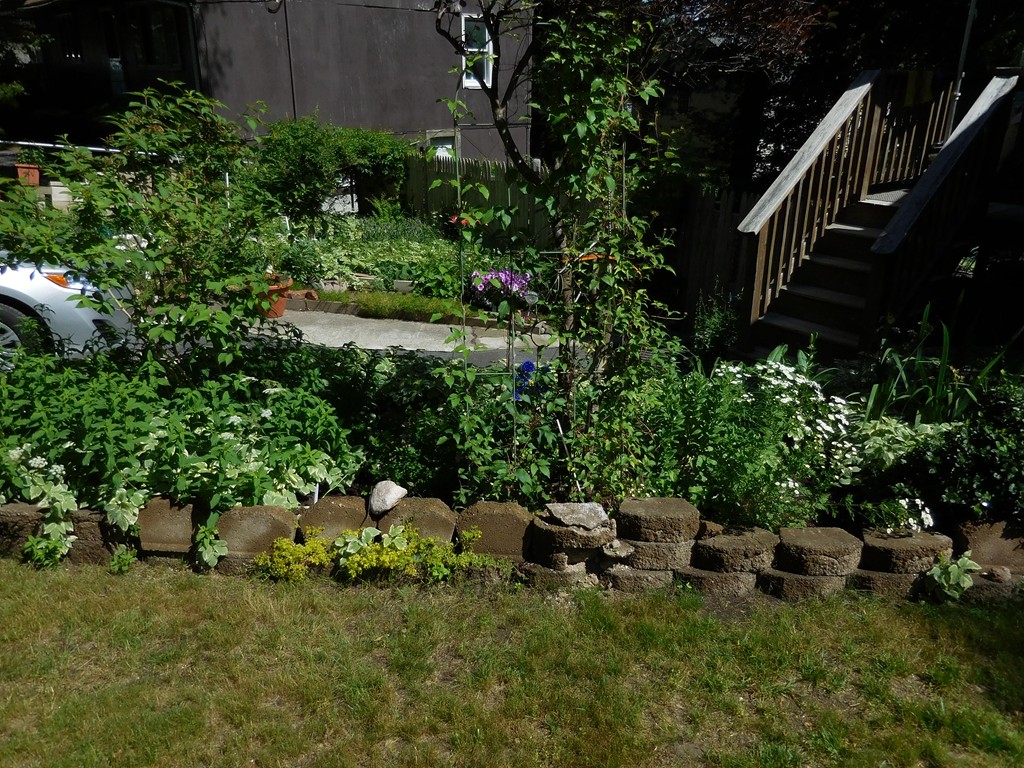 1 Lancaster Road Randolph, MA 02368 - Photo 4 of 16 Gallery Image 4