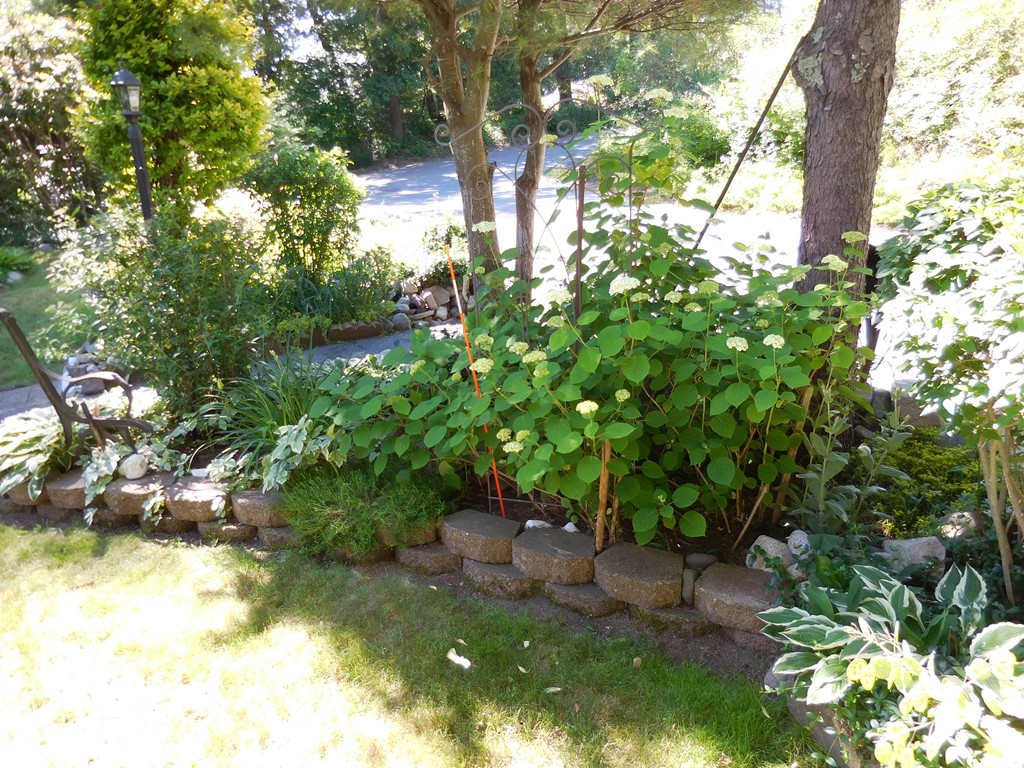 1 Lancaster Road Randolph, MA 02368 - Photo 5 of 16 Gallery Image 5