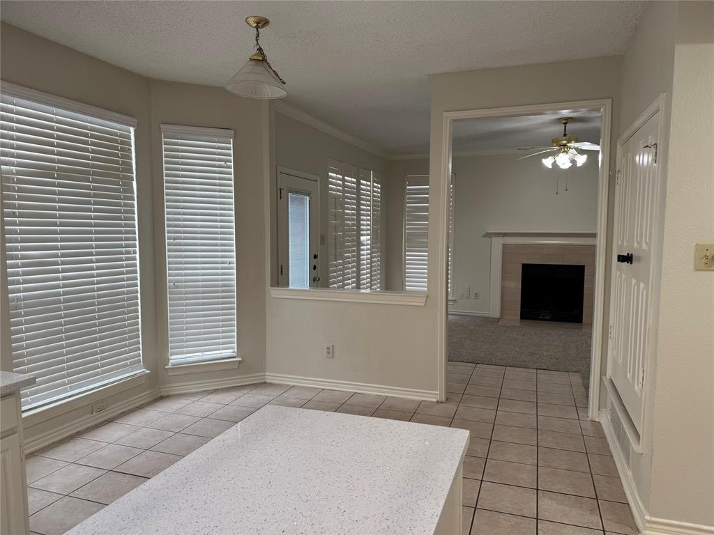 3704 Racquet Court Plano, TX 75023 - Photo 9 of 21