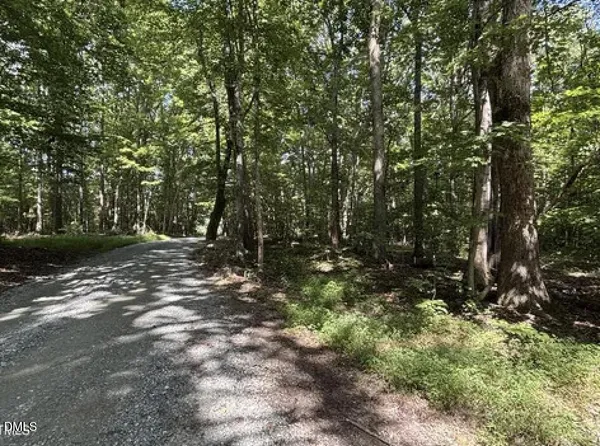 a view of outdoor space and trees