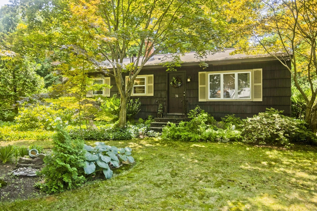 56 Santa Maria Street Springfield, MA 01104 - Photo 1 of 19