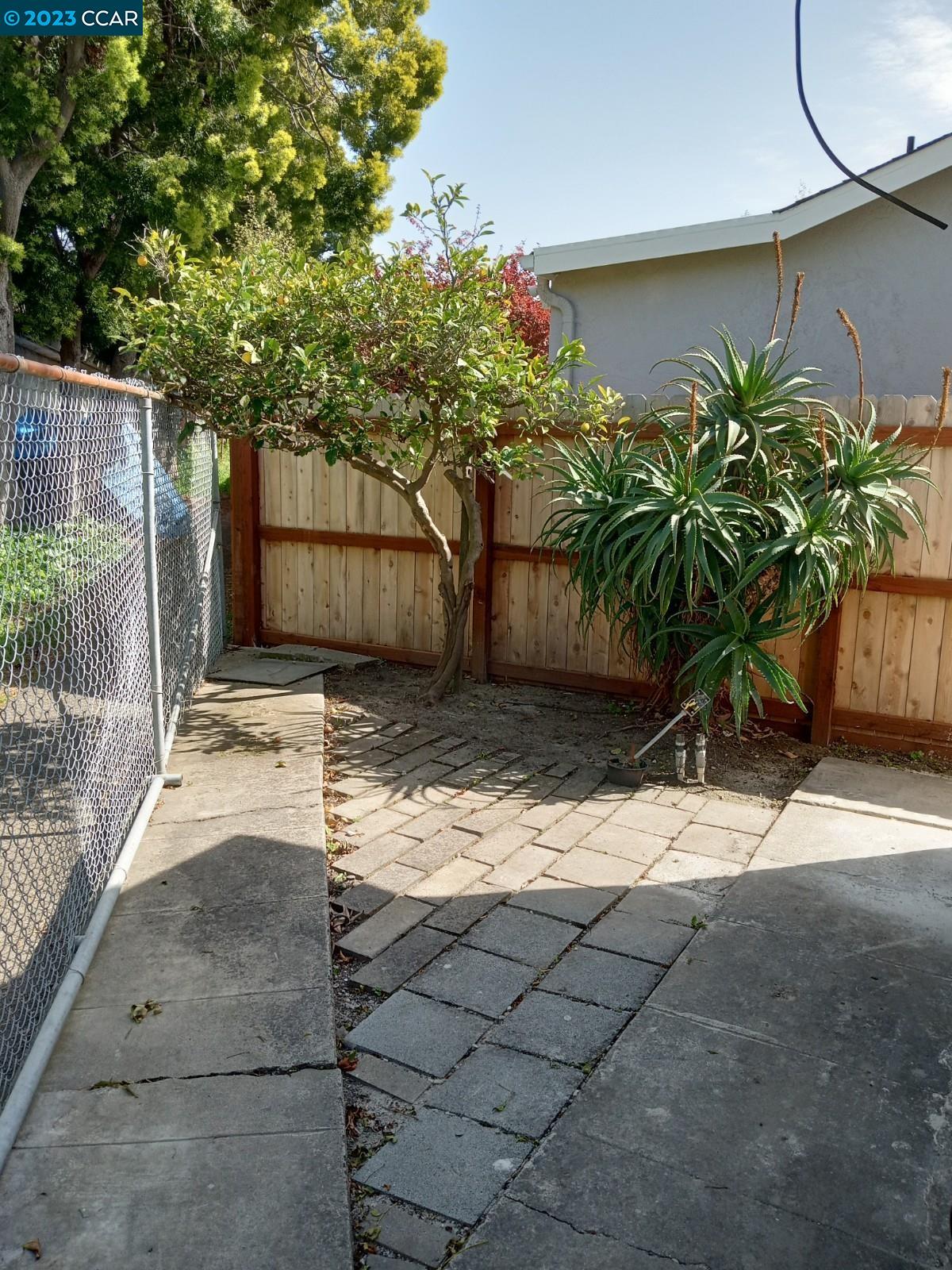 1315 Curtis Street Berkeley, CA 94702 - Photo 8 of 8