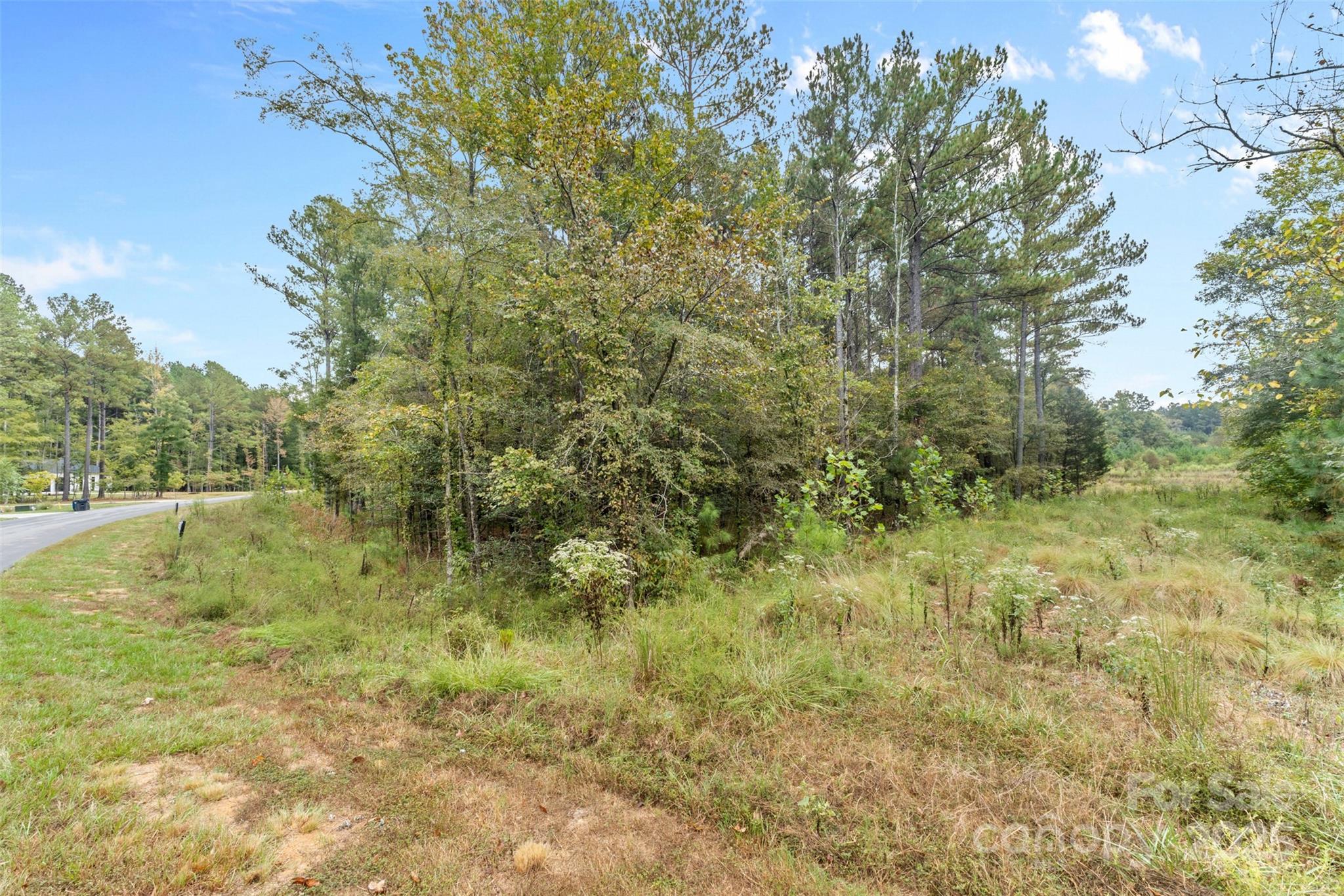 8090 Gulf Crk Road Lancaster, SC 29720 - Photo 11 of 16 a view of a lush green space and trees