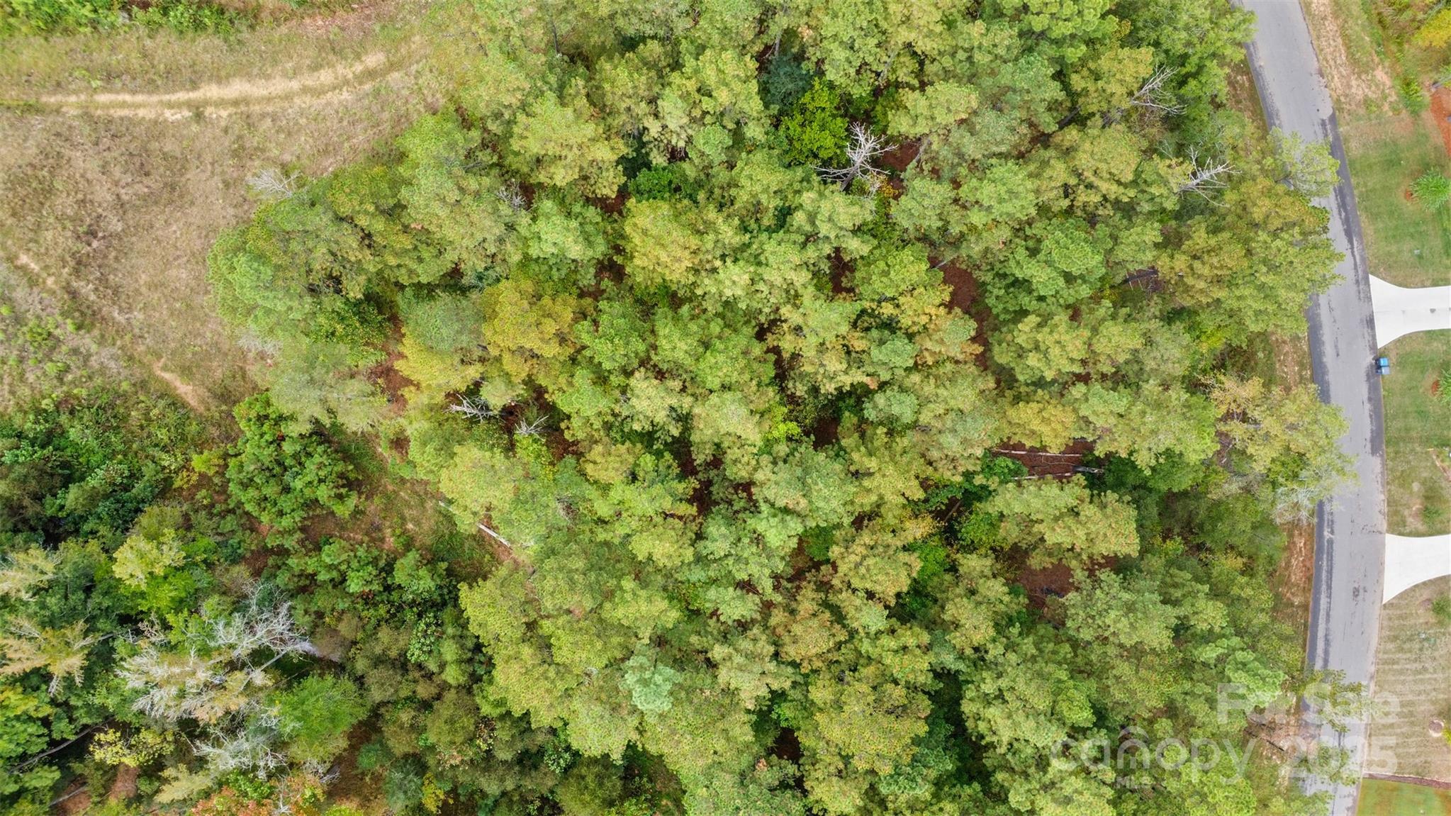 8090 Gulf Crk Road Lancaster, SC 29720 - Photo 12 of 16 a view of a big yard with plants and large trees