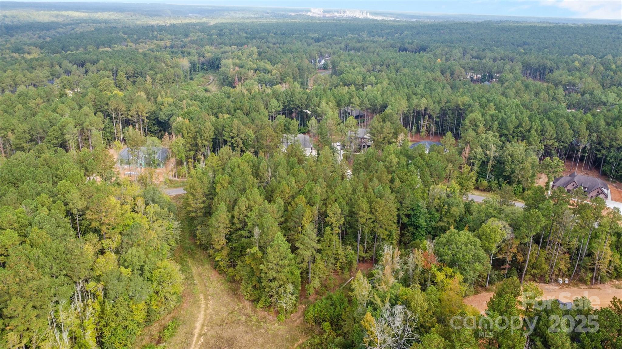 8090 Gulf Crk Road Lancaster, SC 29720 - Photo 14 of 16 a view of a lush green forest with lush green forest