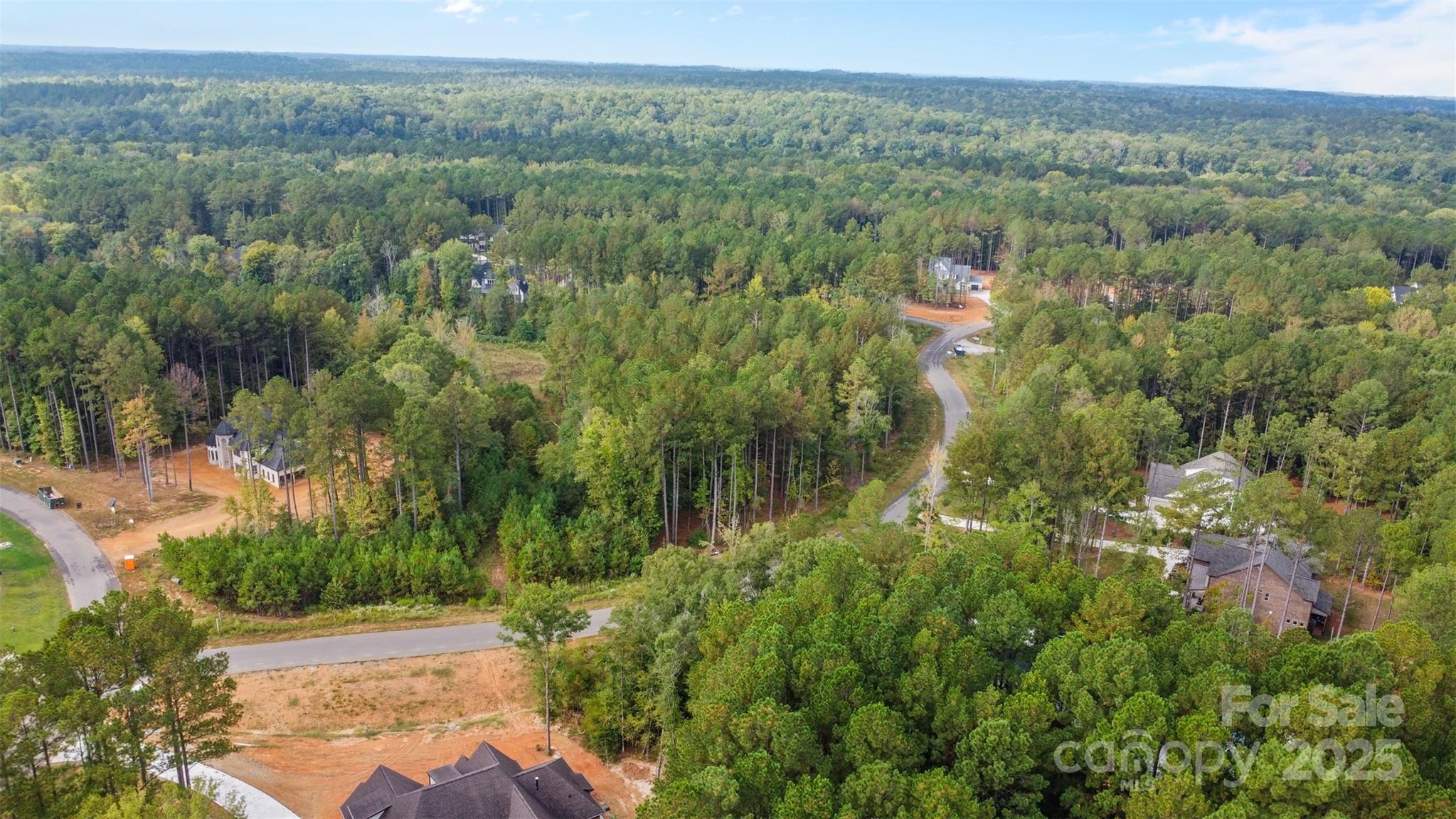 8090 Gulf Crk Road Lancaster, SC 29720 - Photo 16 of 16 a view of a garden with trees
