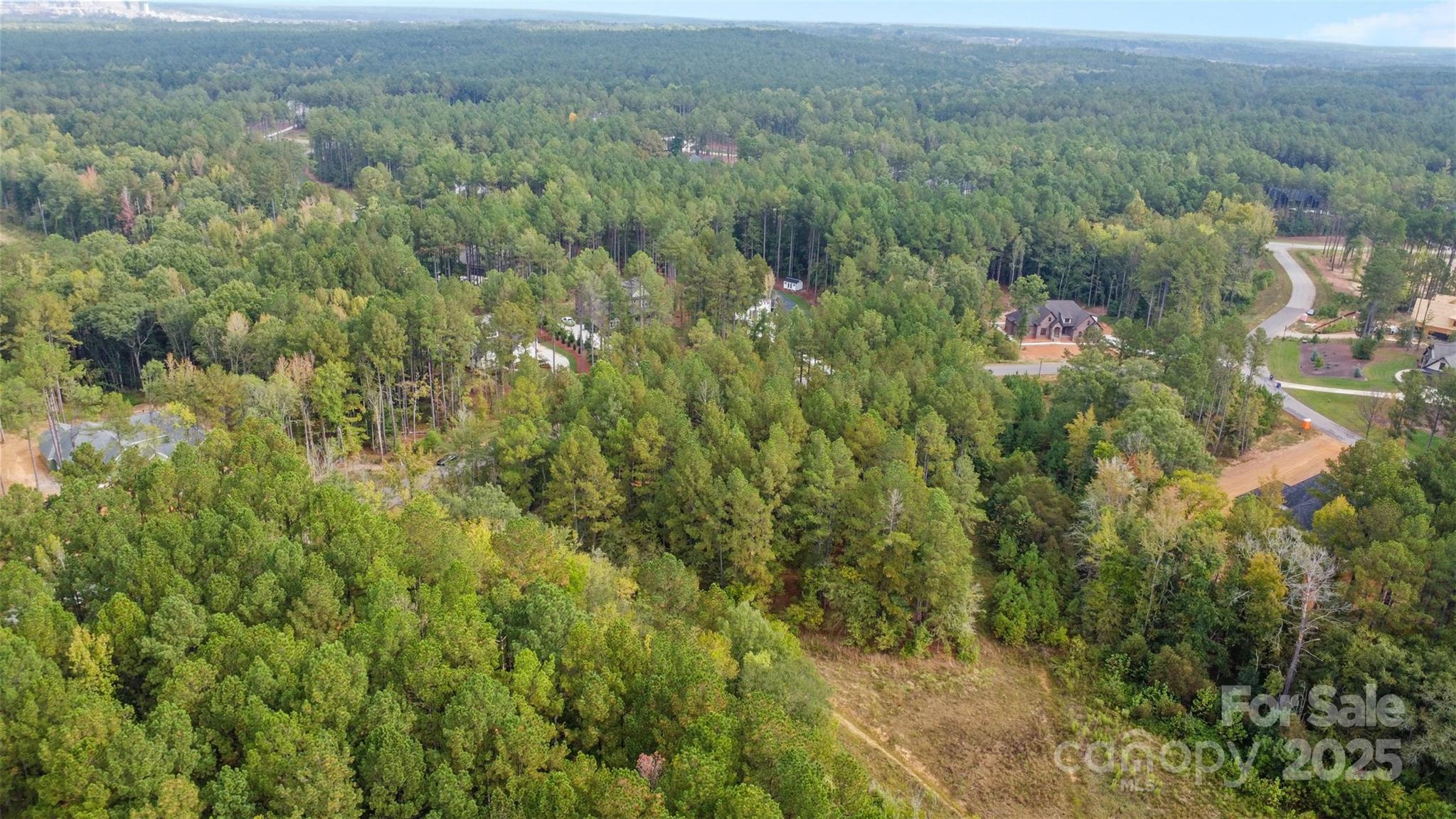 8090 Gulf Crk Road Lancaster, SC 29720 - Photo 2 of 16 a view of a lush green forest with trees and some houses