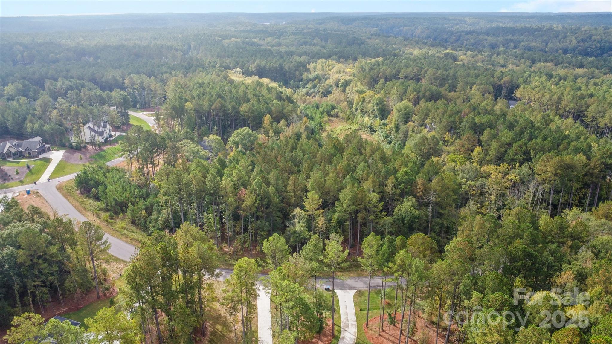 8090 Gulf Crk Road Lancaster, SC 29720 - Photo 3 of 16 a view of a forest with a street