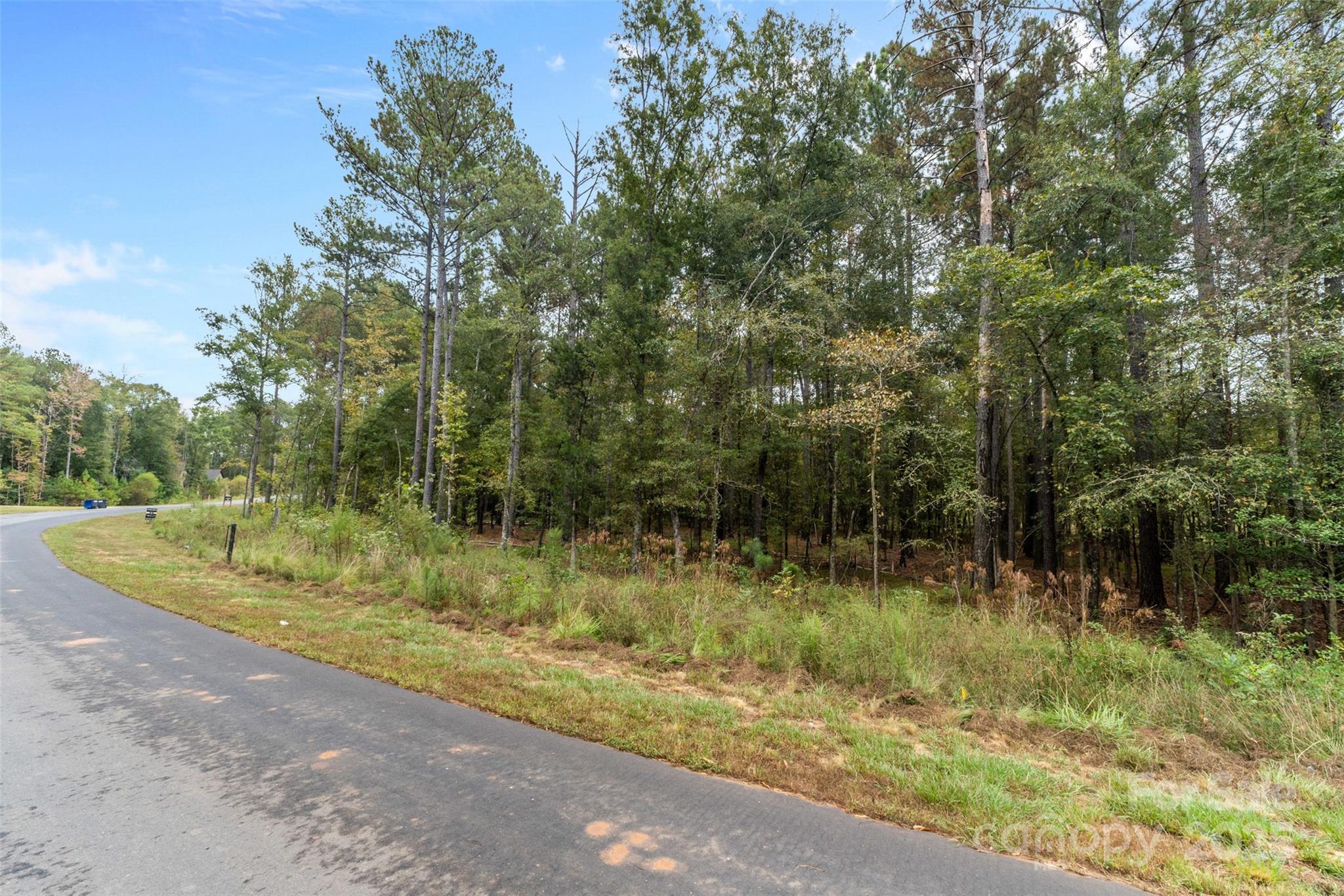 8090 Gulf Crk Road Lancaster, SC 29720 - Photo 4 of 16 a view of a forest