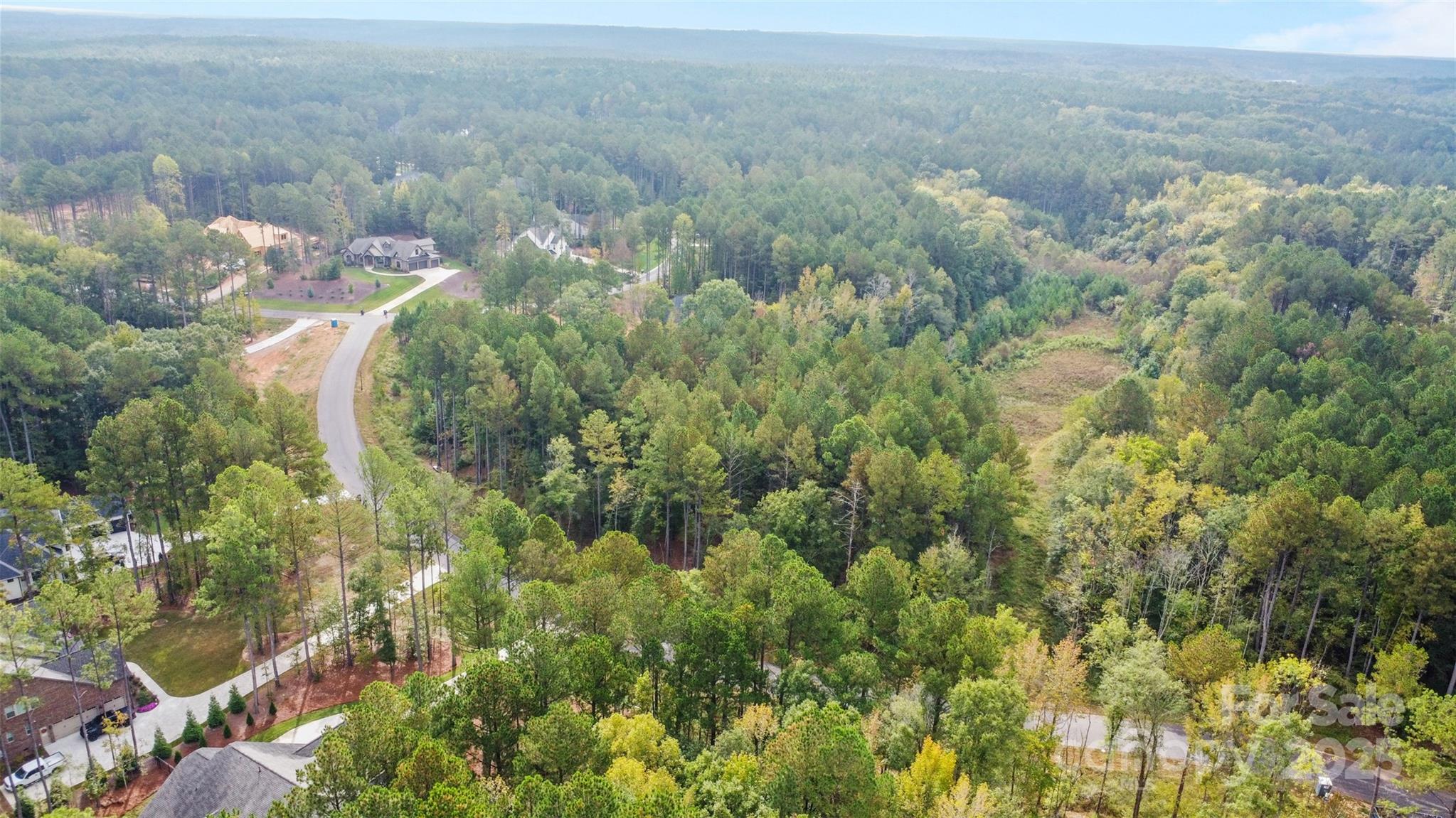 8090 Gulf Crk Road Lancaster, SC 29720 - Photo 6 of 16 a view of a forest with a houses