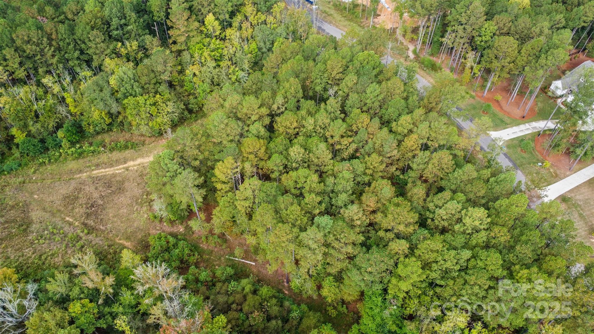 8090 Gulf Crk Road Lancaster, SC 29720 - Photo 7 of 16 a view of a big yard with plants and large trees