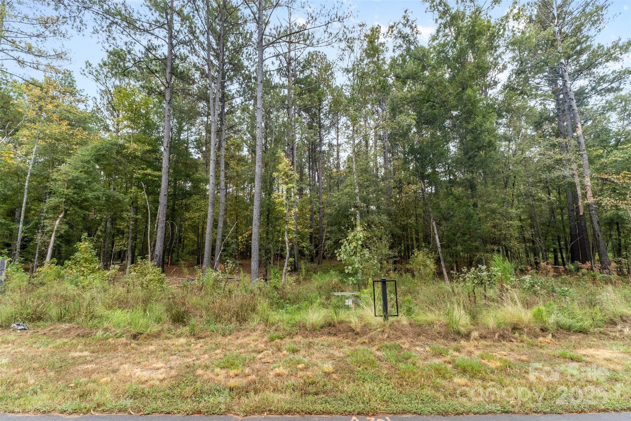 8090 Gulf Crk Road Lancaster, SC 29720 - Photo 8 of 16 a view of outdoor space with trees
