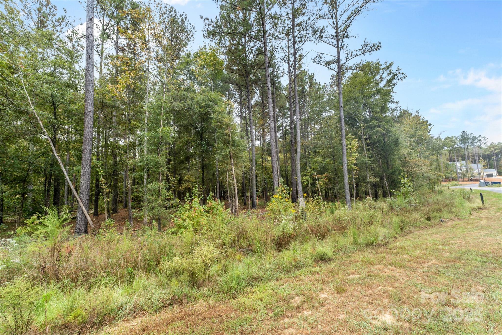 8090 Gulf Crk Road Lancaster, SC 29720 - Photo 9 of 16 a view of outdoor space and trees
