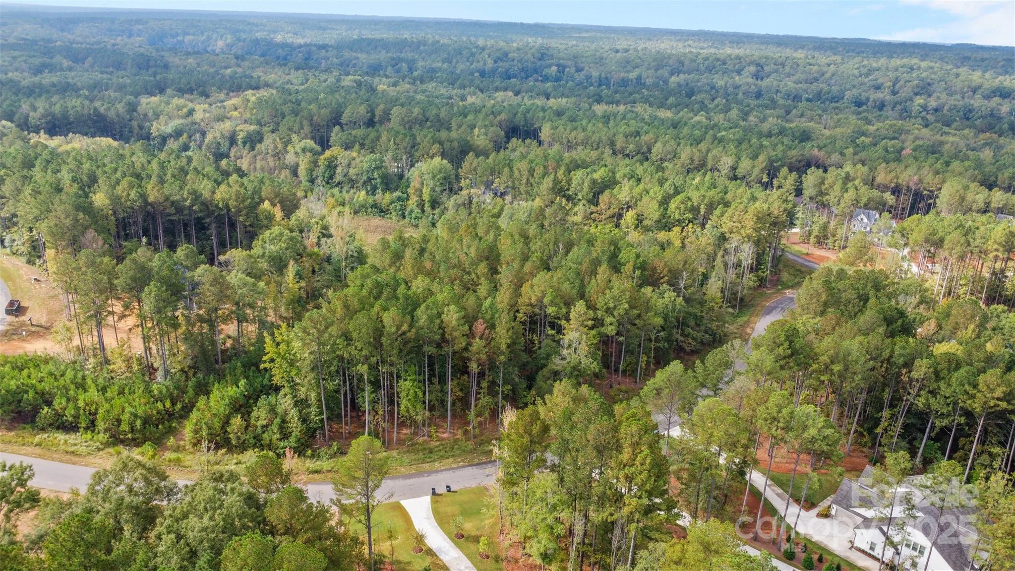 8090 Gulf Crk Road Lancaster, SC 29720 - Photo 10 of 16 a view of a yard with a tree