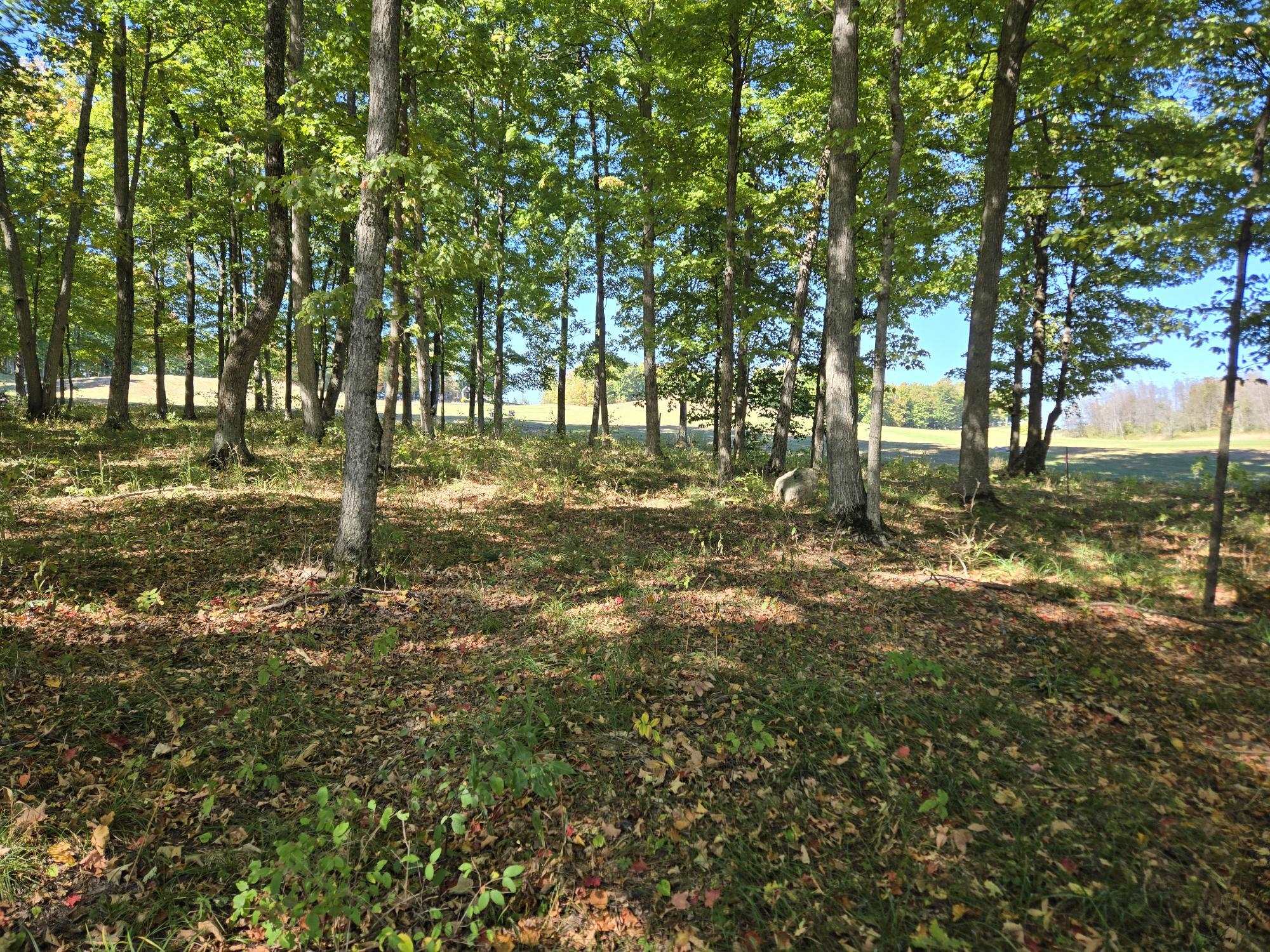 24 Heather Ridge Trail Beulah, MI 49617 - Photo 7 of 11