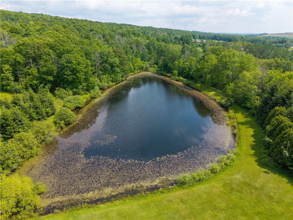 2000 County Rte 50 Dansville, NY 14807 - Photo 37 of 43