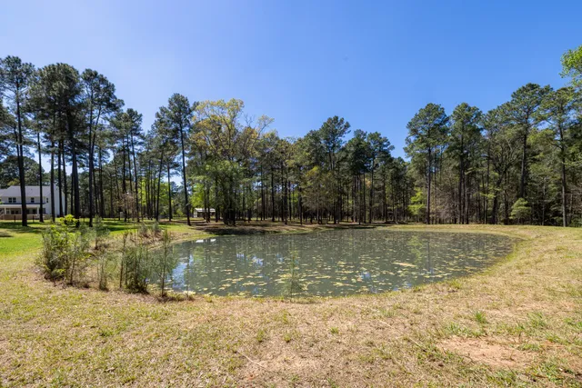 a view of a swimming pool with a yard and large trees