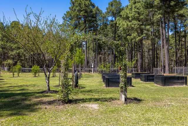a house with trees in front of it