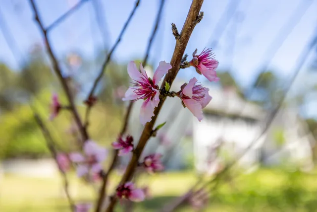 a view of a backyard of the house