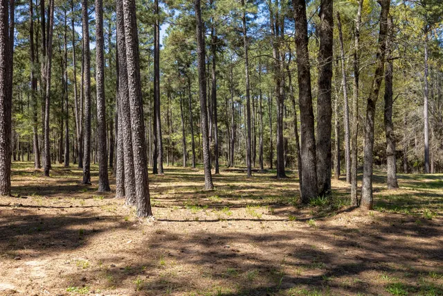 a view of a house with swimming pool