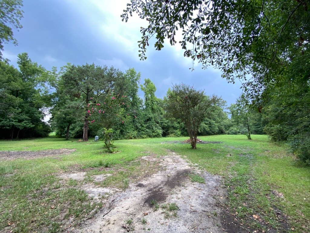 2242 Coot Adams Road Ashford, AL 36312 - Photo 11 of 39