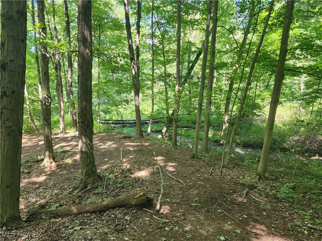 1477 Brockway Road Rome, OH 44085 - Photo 28 of 29 Back woods near campsite