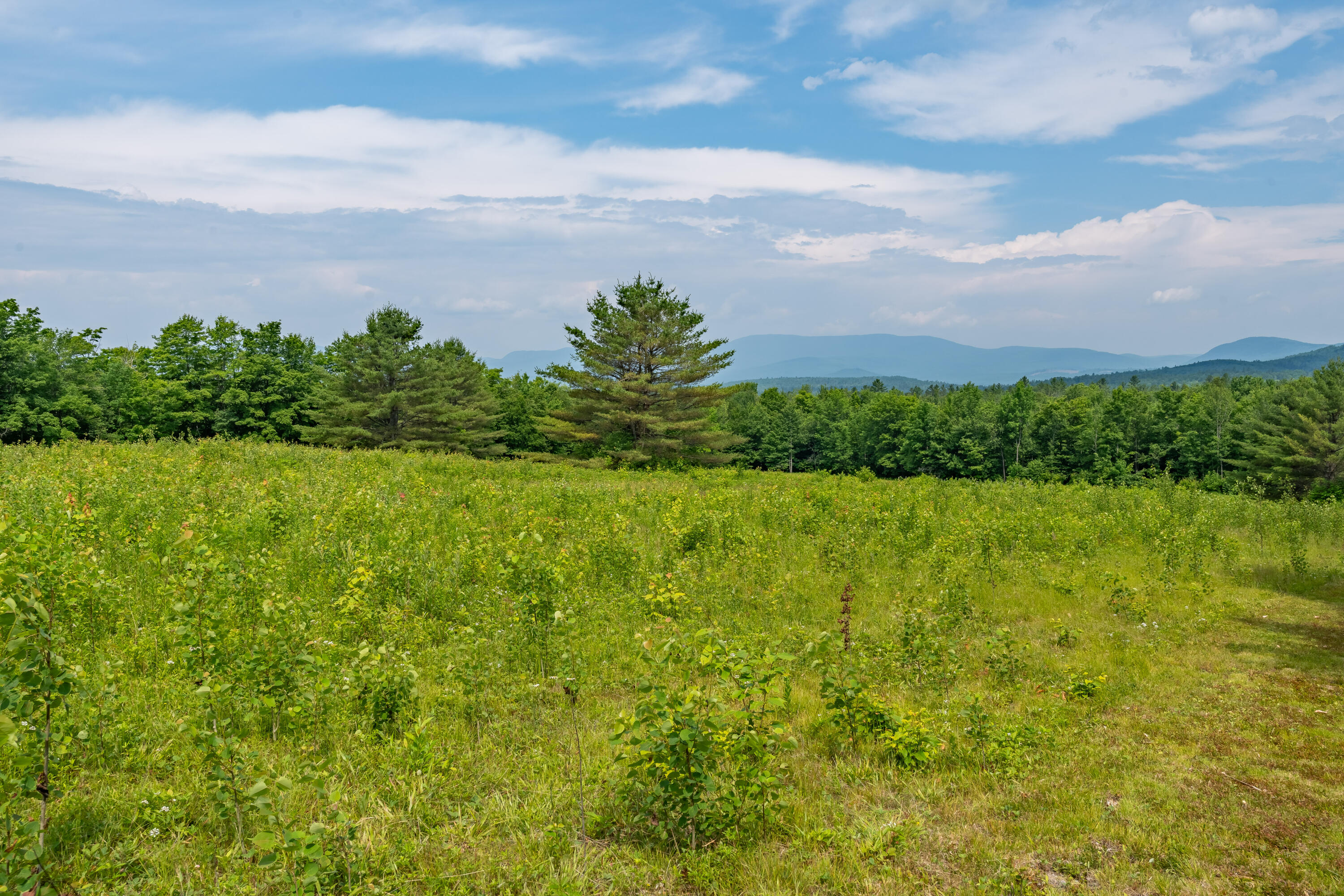 115 Swain Farm Road Rumford, ME 04276 - Photo 87 of 95 View from Back Lot