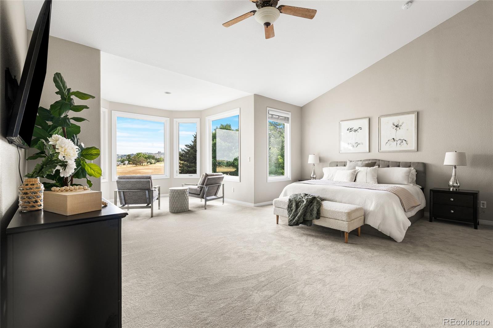11041 Puma Run Lone Tree, CO 80124 - Photo 17 of 35 a bedroom with a large bed and a potted plant