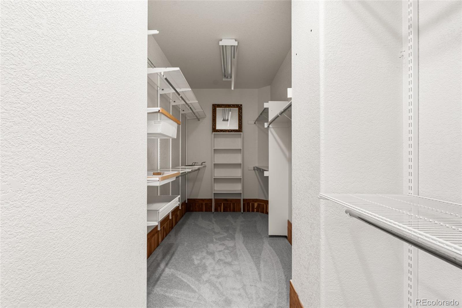 11041 Puma Run Lone Tree, CO 80124 - Photo 20 of 35 a view of storage and utility