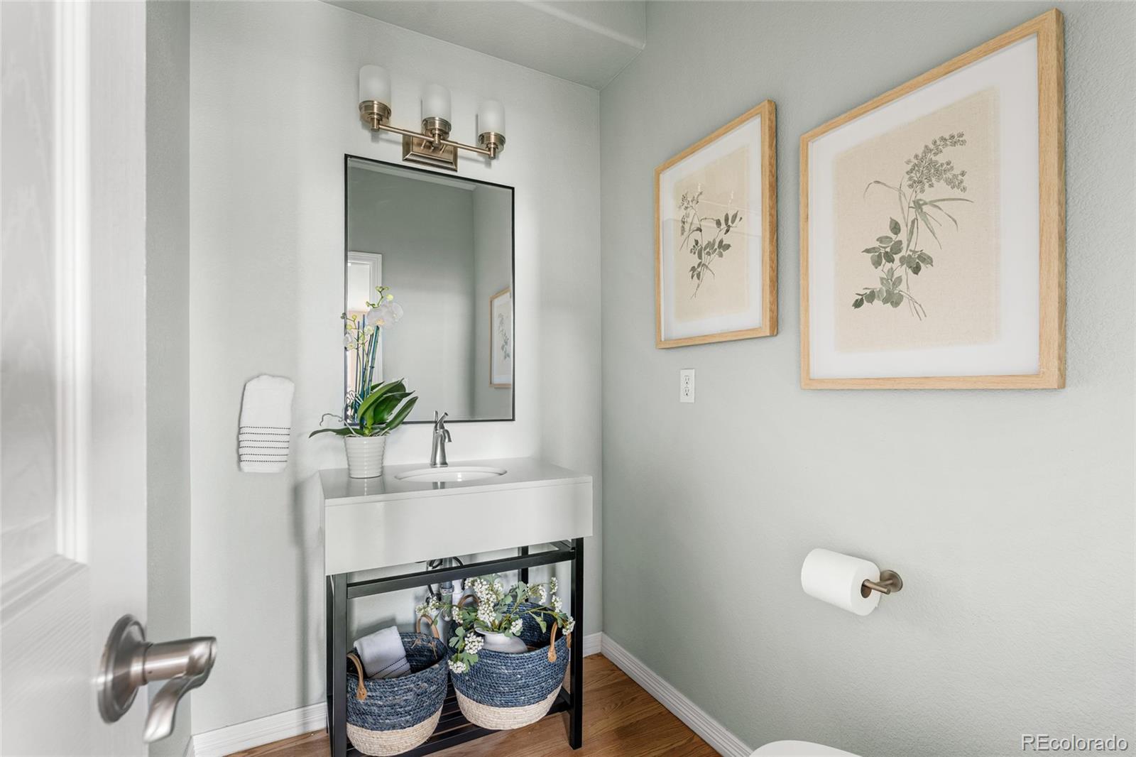 11041 Puma Run Lone Tree, CO 80124 - Photo 26 of 35 a room with painting and a potted plant