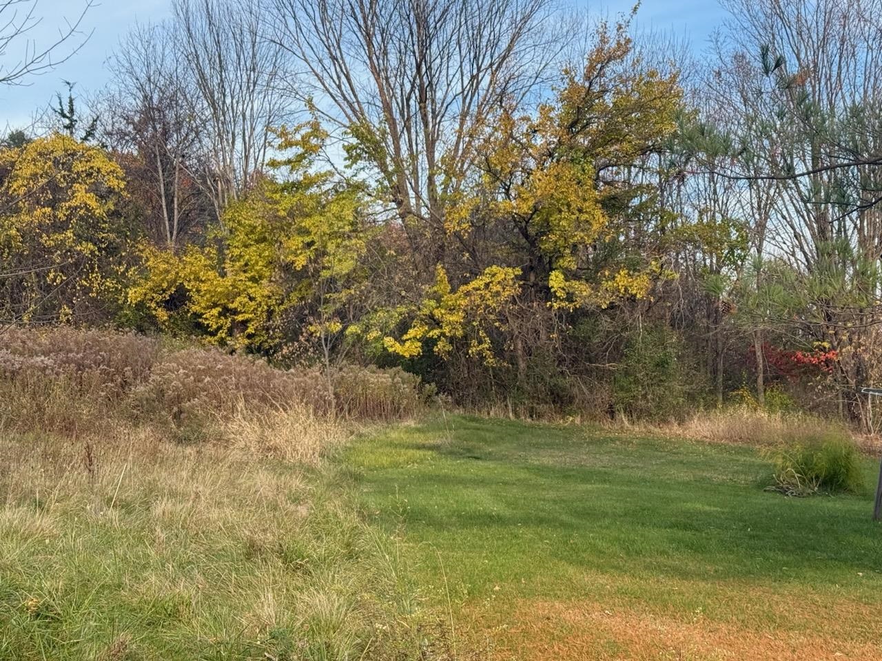 7338 Spear Street Charlotte, VT 05445 - Photo 6 of 13