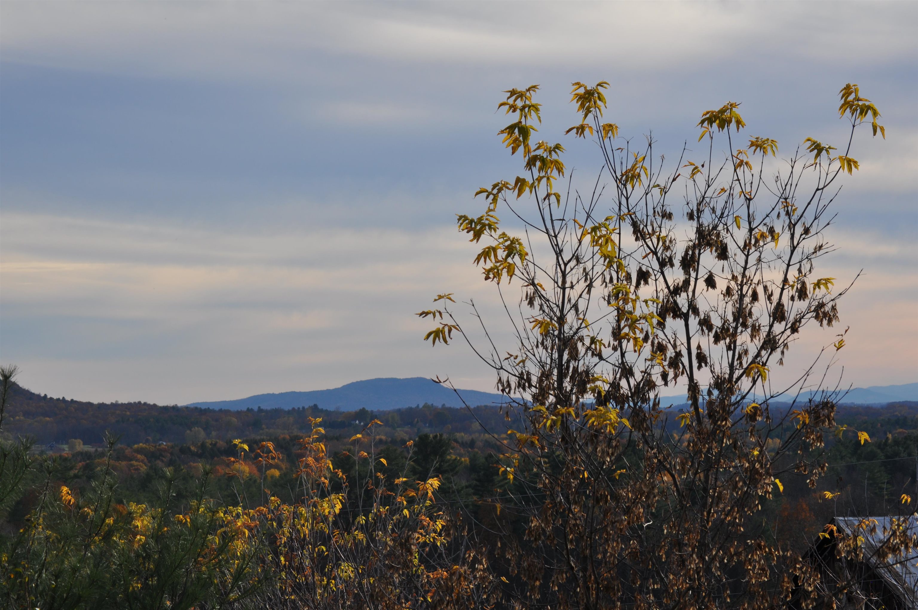 7338 Spear Street Charlotte, VT 05445 - Photo 9 of 13
