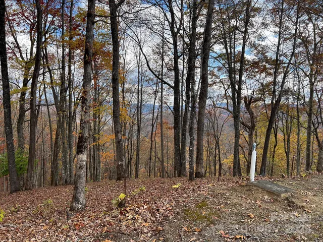 $299,999 | 627 Steeplebush Court, Glenville, NC 28736