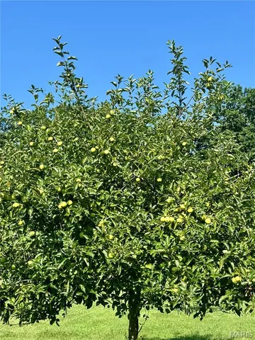 $539,000 | 6554 County Road 249, Palmyra, MO 63461