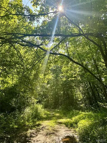 $539,000 | 6554 County Road 249, Palmyra, MO 63461