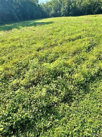 $539,000 | 6554 County Road 249, Palmyra, MO 63461