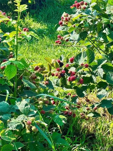 $539,000 | 6554 County Road 249, Palmyra, MO 63461