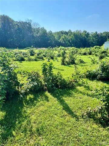 $539,000 | 6554 County Road 249, Palmyra, MO 63461