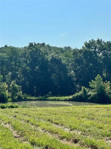 $539,000 | 6554 County Road 249, Palmyra, MO 63461