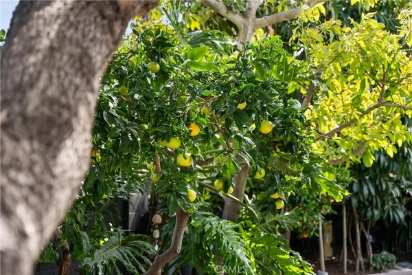 $1,599,888 | 20442 Harbor Isle Lane, Huntington Beach, CA 92646