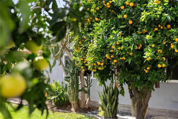 $1,599,888 | 20442 Harbor Isle Lane, Huntington Beach, CA 92646
