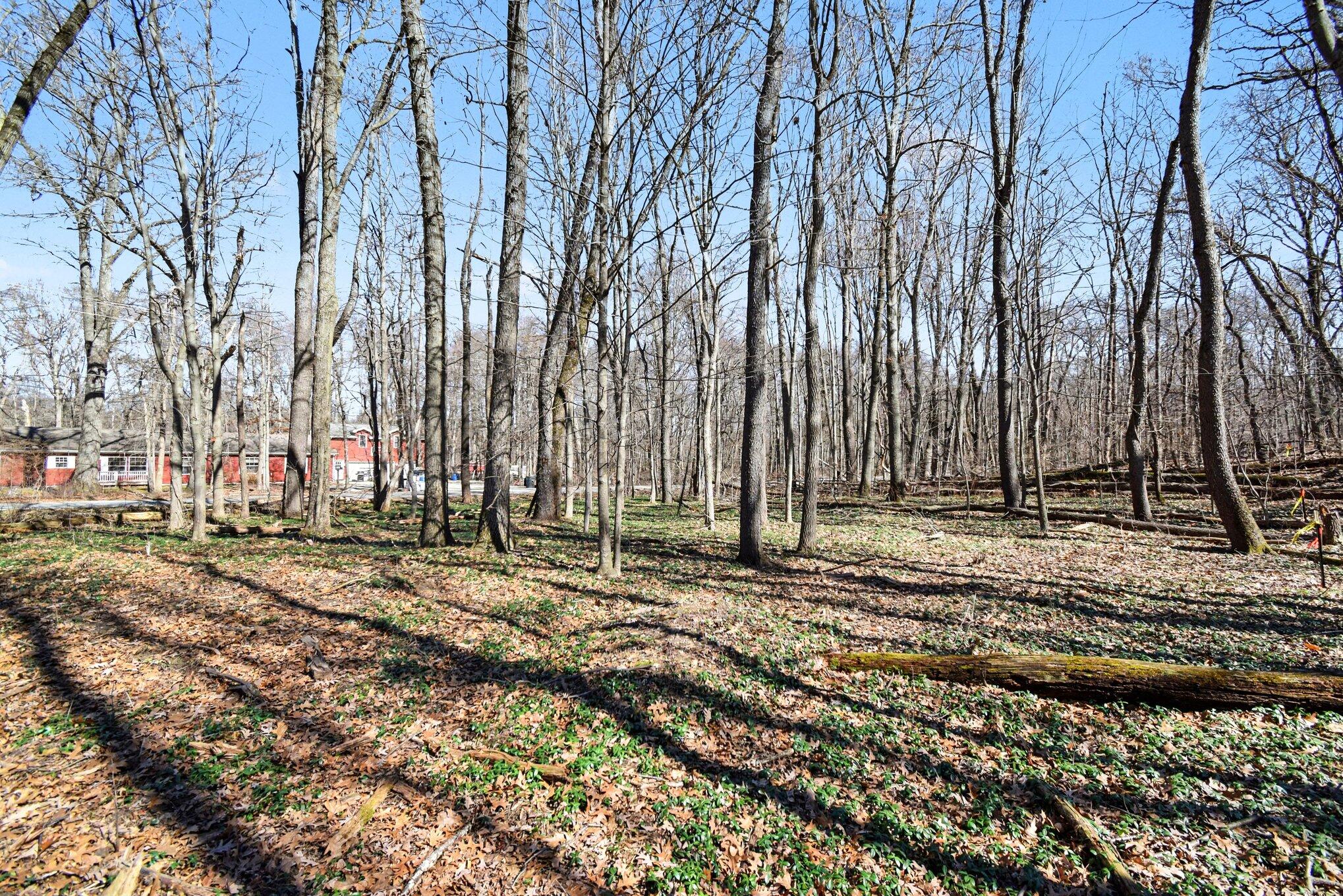 Vl Garver Lake Road Edwardsburg, MI 49112 - Photo 15 of 17 014_photo_mar_09_2026_1_21_39_pm_827