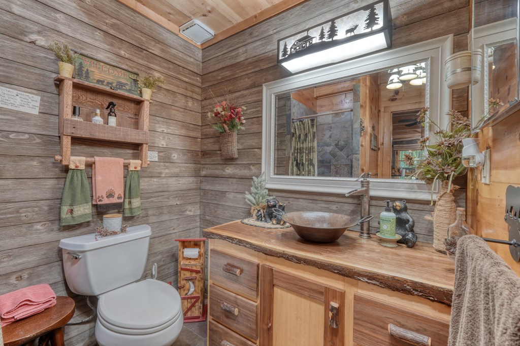 4836 Swallows Creek Road Hiawassee, GA 30546 - Photo 19 of 57 a bathroom with a toilet sink and mirror