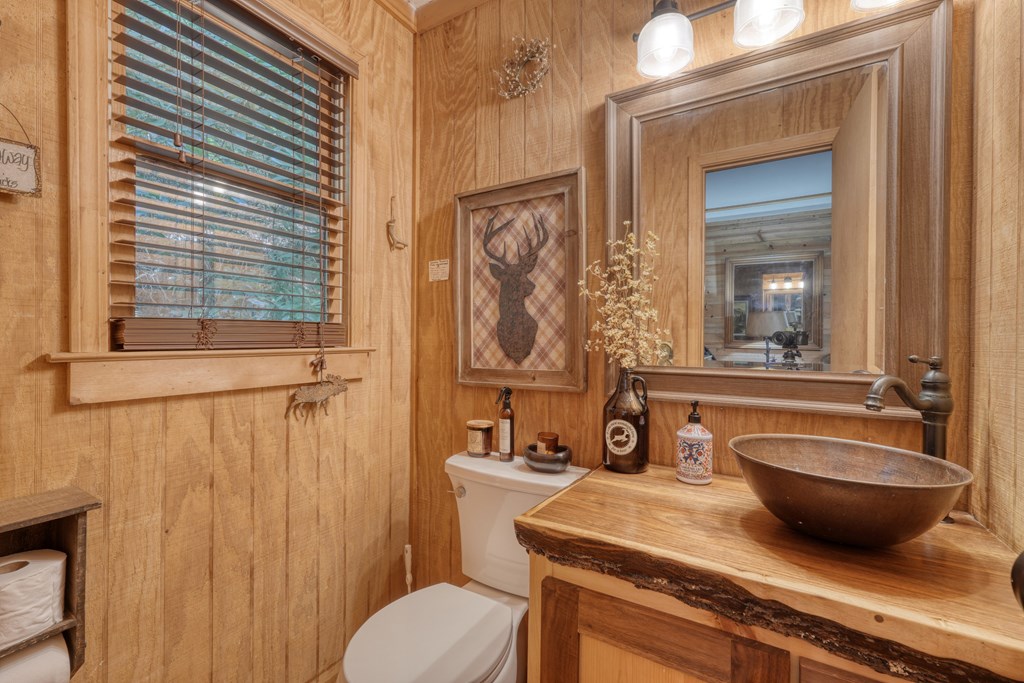 4836 Swallows Creek Road Hiawassee, GA 30546 - Photo 25 of 57 a bathroom with a toilet a sink and mirror